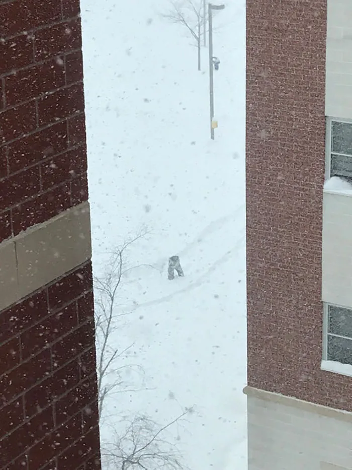 Hmmm