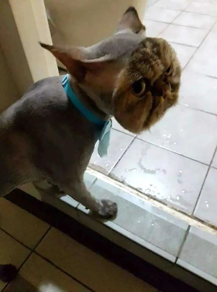 Hmmm