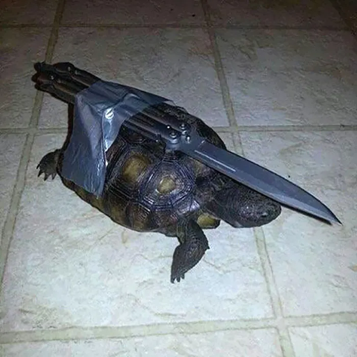 Hmmm