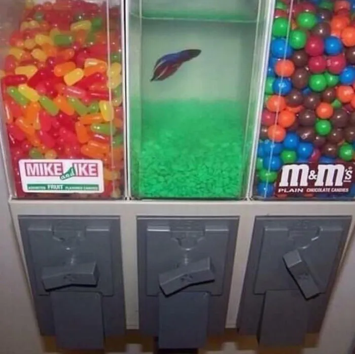 Hmmm