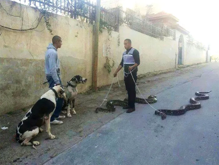 Hmmm