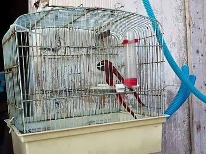 Hmmm