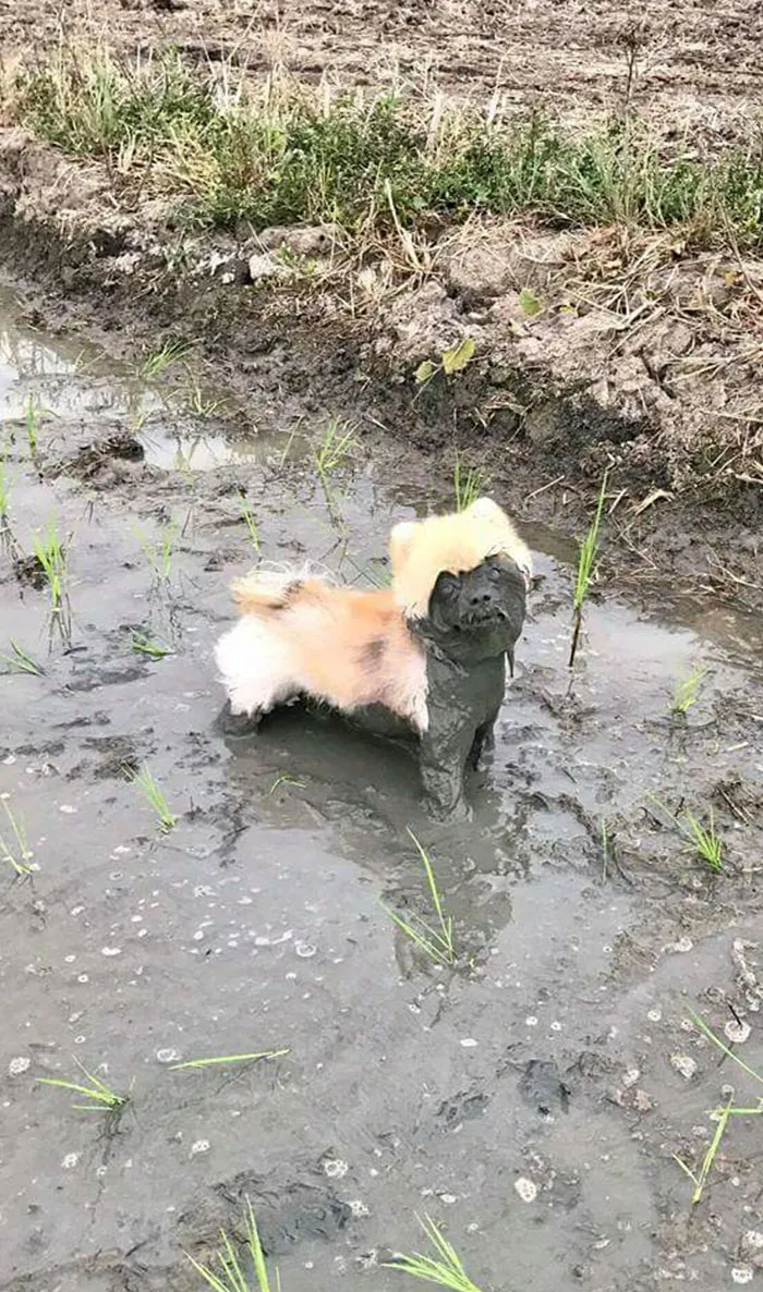 Hmmm