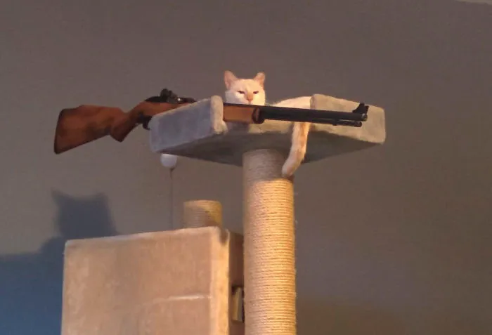 Hmmm