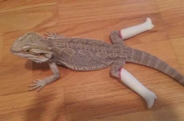 Hmmm