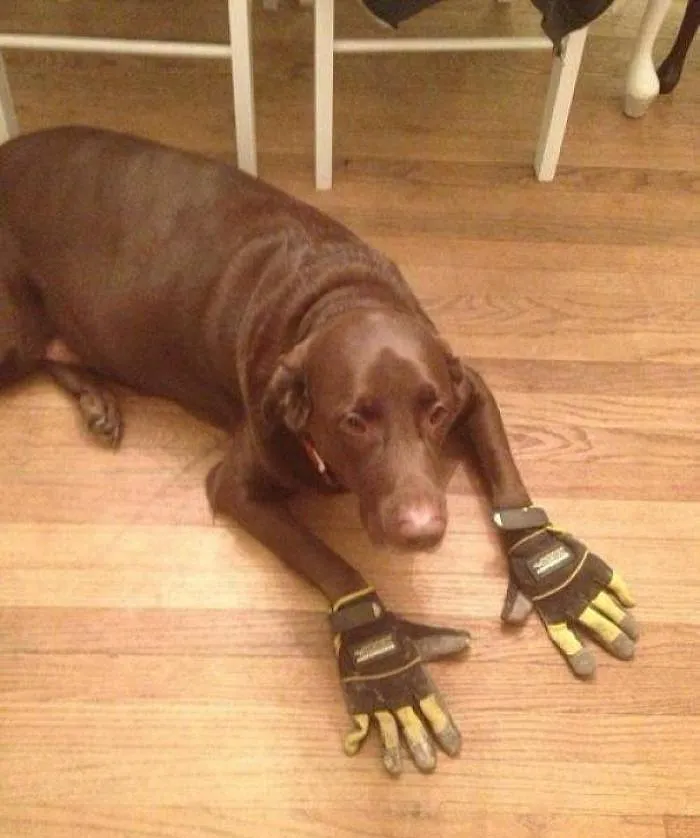 Hmmm