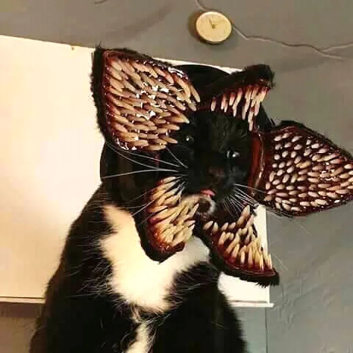Hmmm