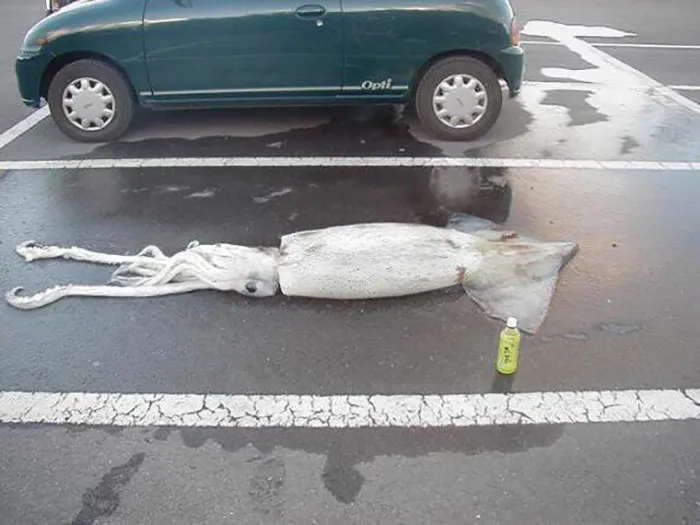 Hmmm