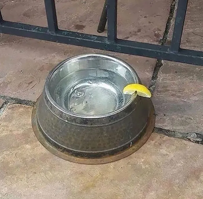 Hmmm