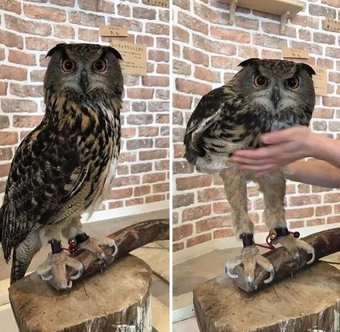 Hmmm