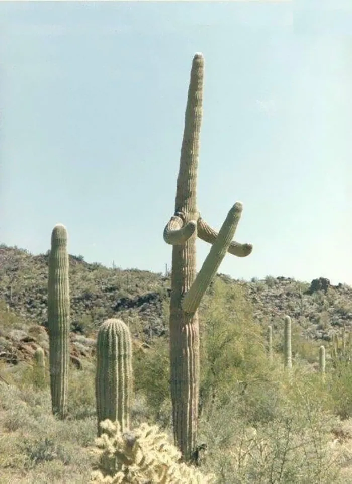 Hmmm