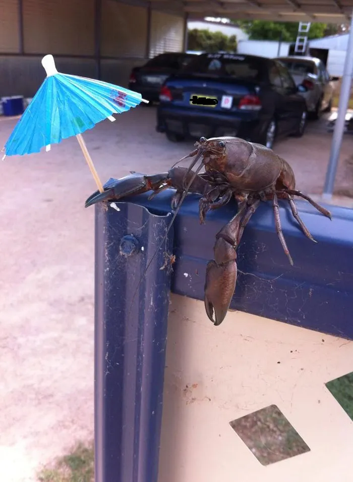 Hmmm