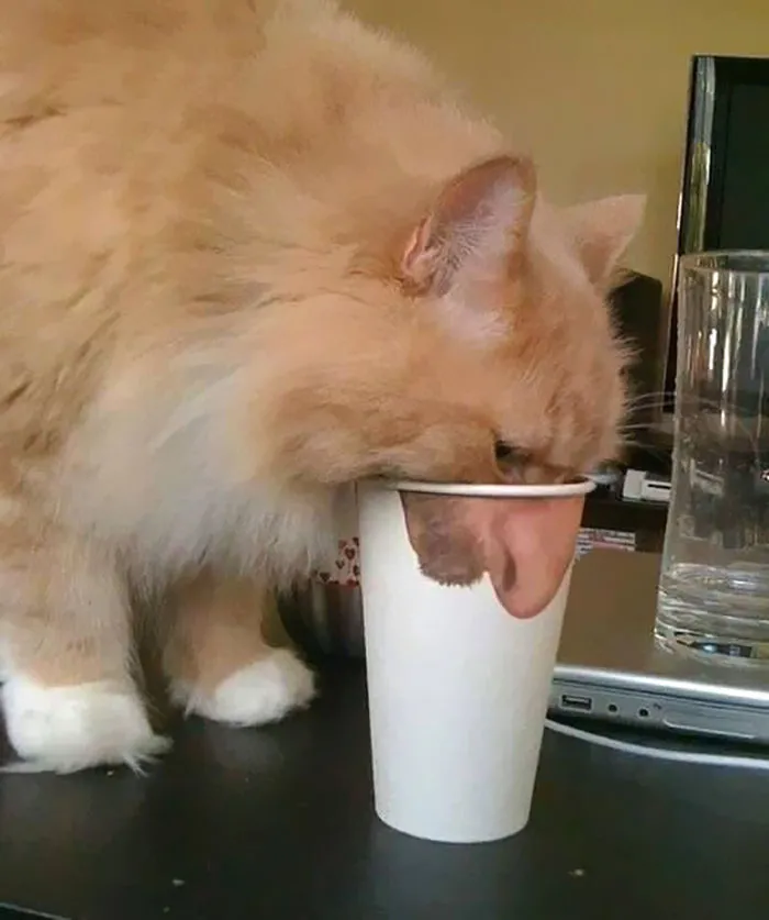 Hmmm