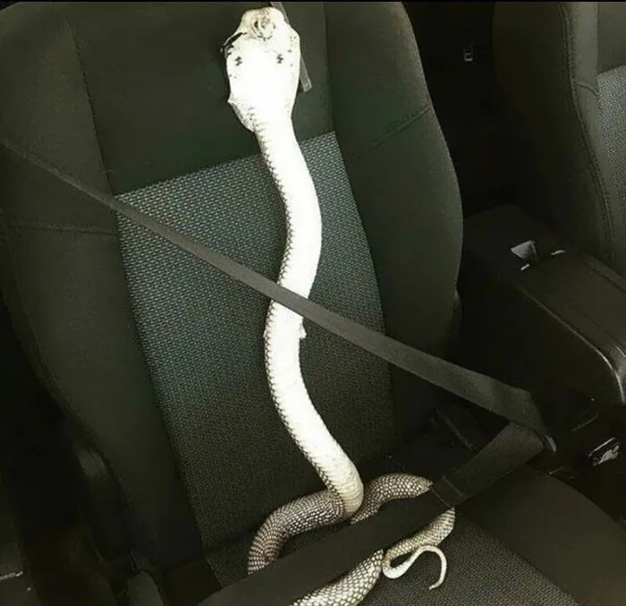 Hmmm