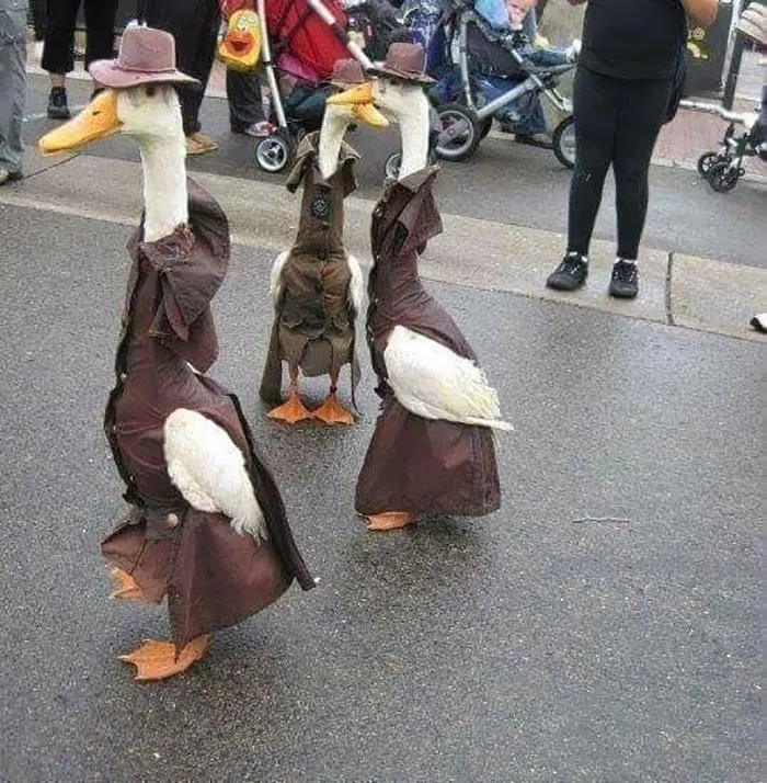 Hmmm