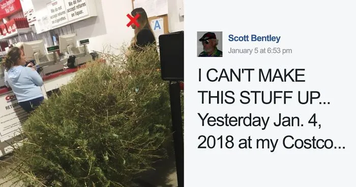 Woman Returns A Christmas Tree On January 4th Because "It's Dead," And The Shop's Response Will Infuriate You