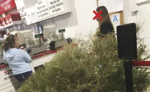 Woman Returns A Christmas Tree On January 4th Because "It's Dead," And The Shop's Response Will Infuriate You