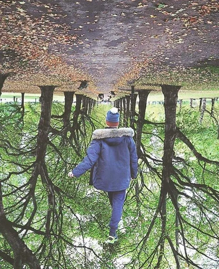 A Forest For Rest