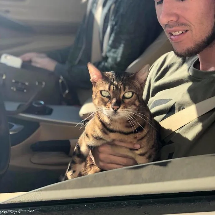 Bagel Shop Employee Photographs Dogs That Come To Her Drive-Thru, And Their Facial Expressions Say It All