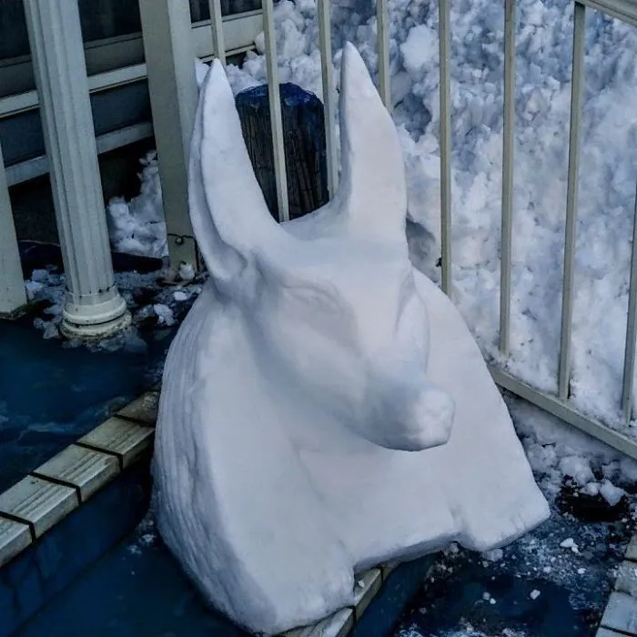 Cae una fuerte nevada en Tokyo y los resultados son los que todos esperábamos
