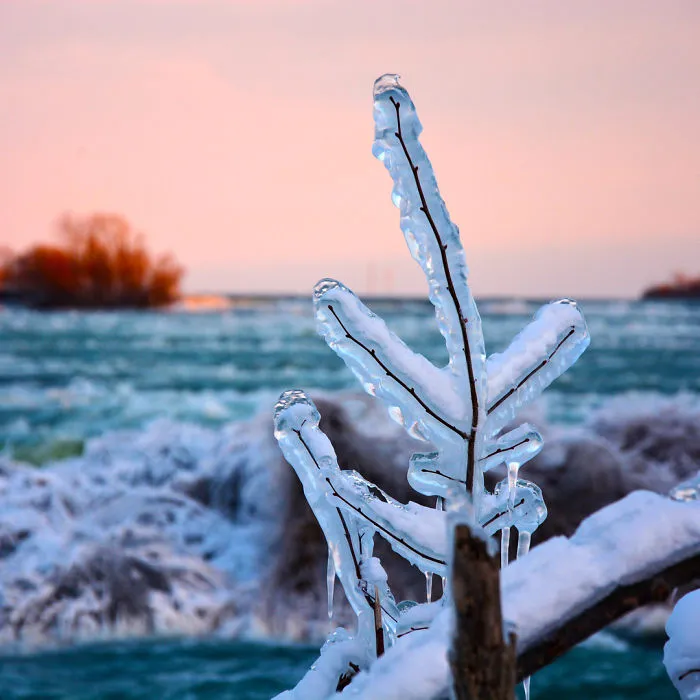 Hace tanto frío en EEUU que se han congelado las cataratas del Niágara, y parece Narnia
