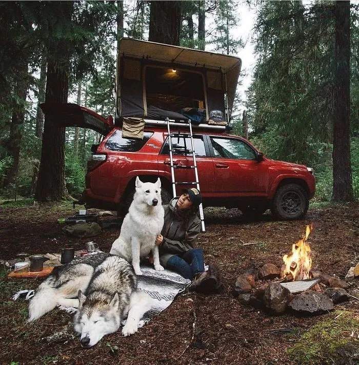 308 Pics From 'Project Van Life' Instagram That Will Make You Wanna Quit Your Job And Travel The World