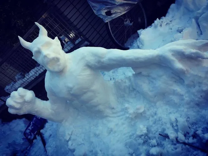 Cae una fuerte nevada en Tokyo y los resultados son los que todos esperábamos