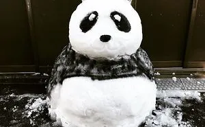 Heavy Snowfall Hits Tokyo, And The Results Are Pretty Much What You'd Expect