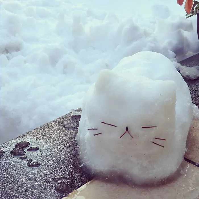 Cae una fuerte nevada en Tokyo y los resultados son los que todos esperábamos