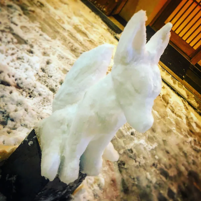 Cae una fuerte nevada en Tokyo y los resultados son los que todos esperábamos