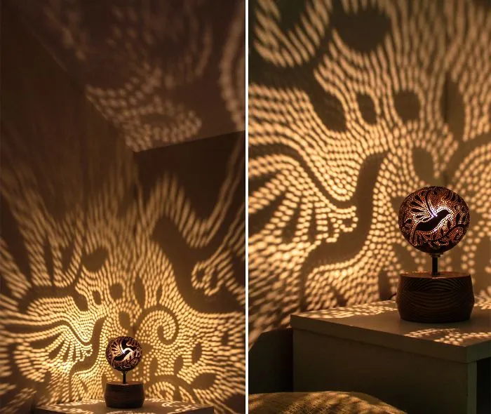 Light Paintings Created By Thousands Of Light Dots Using Coconut Shell