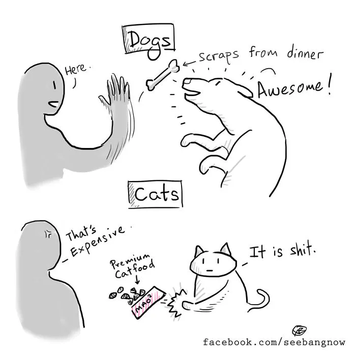17 Hilarious Comics That Reveal The Reality Of Having A Cat