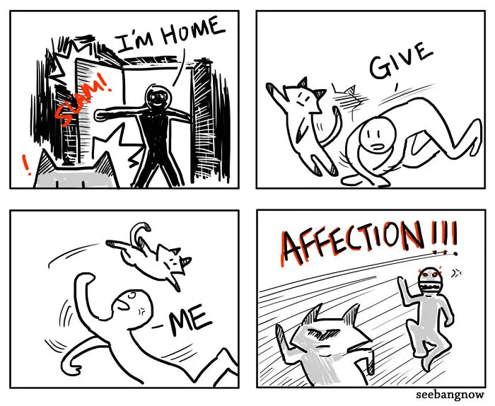 17 Hilarious Comics That Reveal The Reality Of Having A Cat