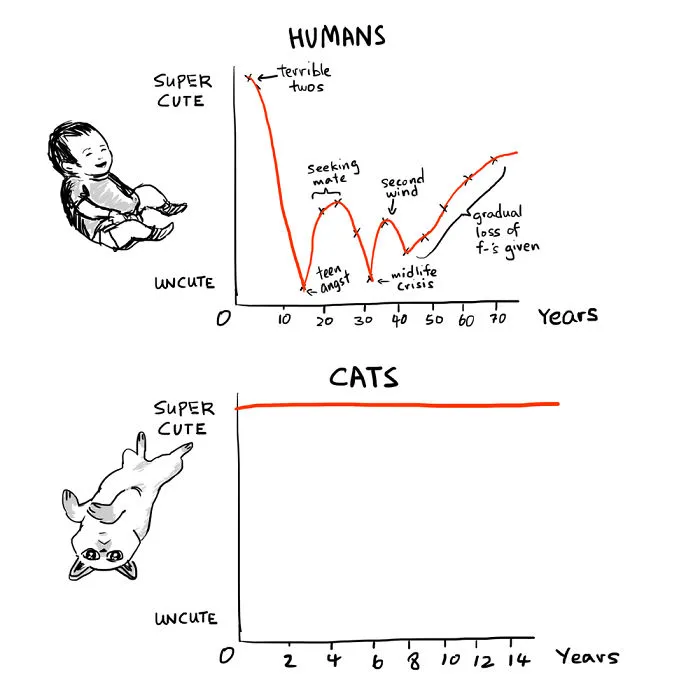 17 Hilarious Comics That Reveal The Reality Of Having A Cat
