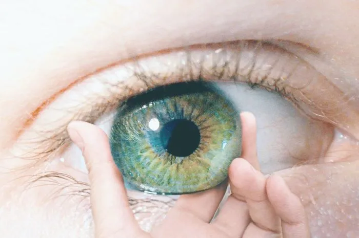 Eye Got You