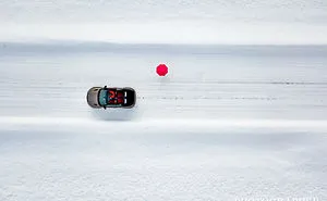 Japanese Winter