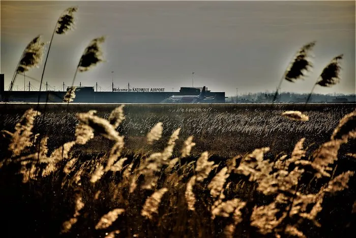 View Of The Airport