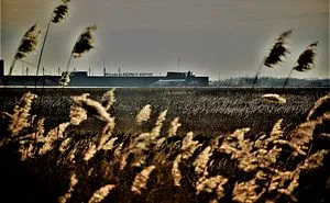 View Of The Airport