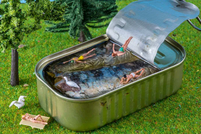 Sardine Holidays