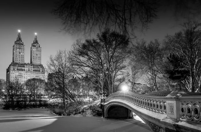 Is Central Park The Safest Place In Nyc ?