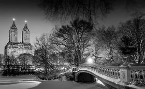 Is Central Park The Safest Place In Nyc ?