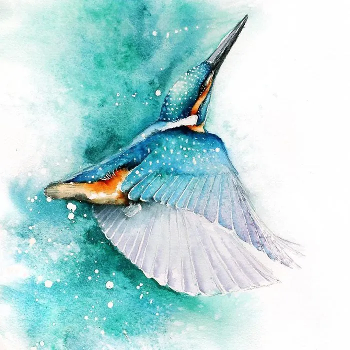 Kingfisher