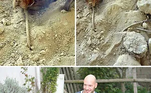 64 Times Dogs Surprised Humans With Their Incredibly Heroic Acts