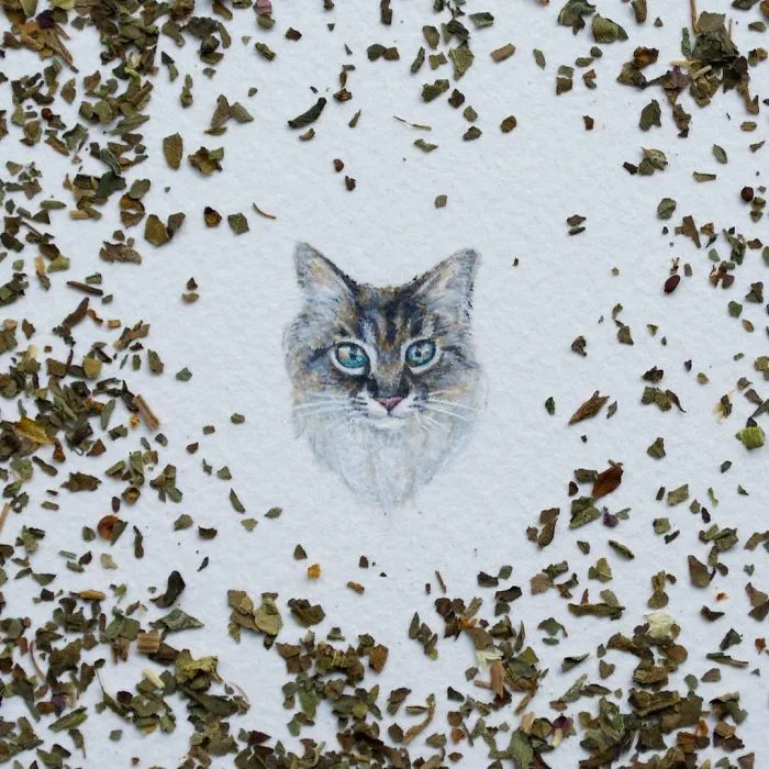 The Beauty Of Little Things: My 30 New Miniature Paintings