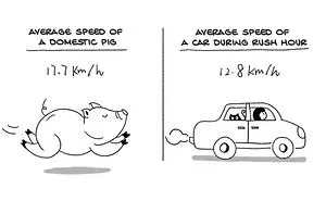 I Made These Comics To Compare Chinese Culture With Western Culture Through Everyday Life