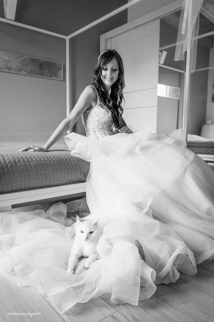 Soy una fotógrafa que hace sesiones privadas post-boda con gatos, y este es el resultado