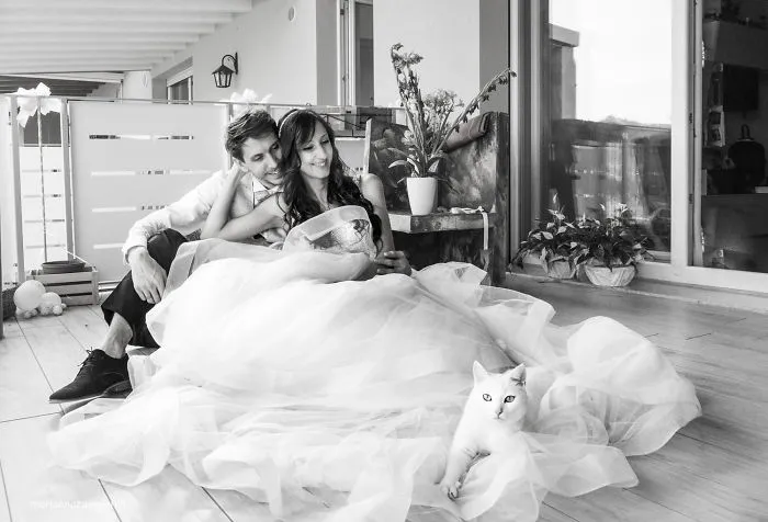 Soy una fotógrafa que hace sesiones privadas post-boda con gatos, y este es el resultado