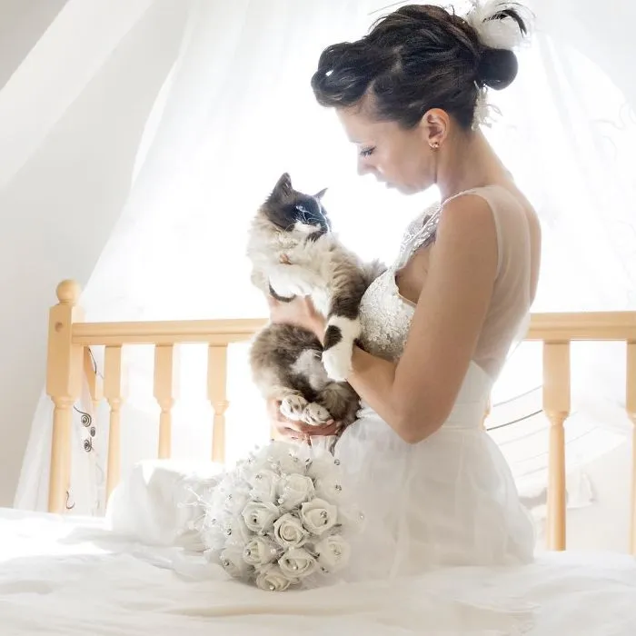 Soy una fotógrafa que hace sesiones privadas post-boda con gatos, y este es el resultado
