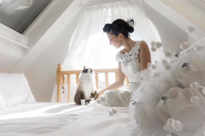 Soy una fotógrafa que hace sesiones privadas post-boda con gatos, y este es el resultado