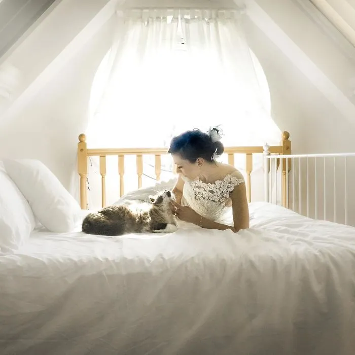 Soy una fotógrafa que hace sesiones privadas post-boda con gatos, y este es el resultado